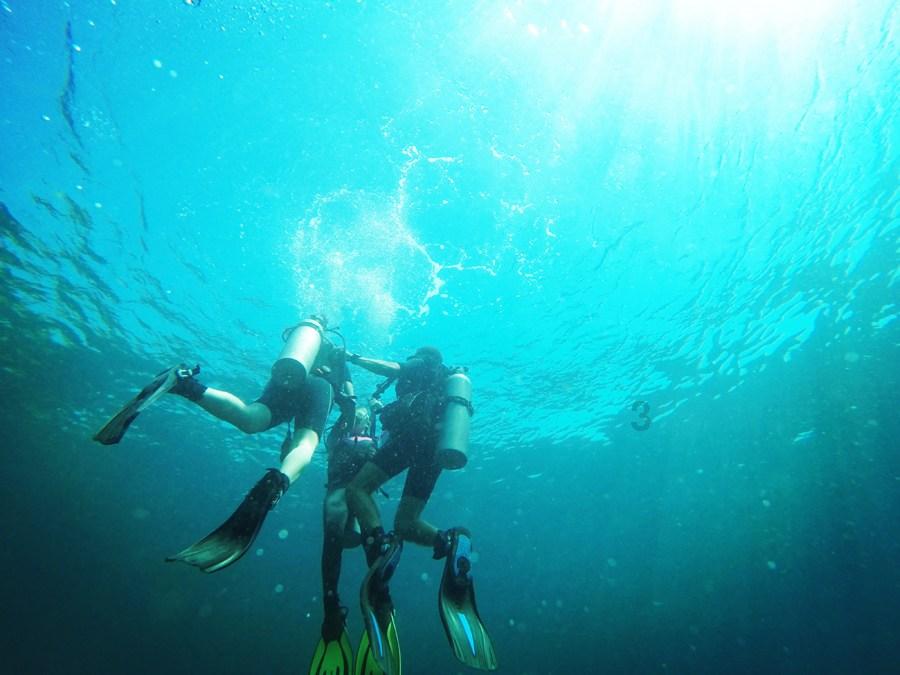 溶解氧监测方案