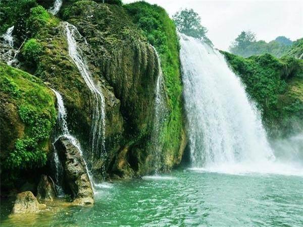 津彩南望 乐享文旅 津南区葛沽清水萝卜节启动